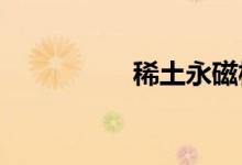 稀土永磁板块震荡走低