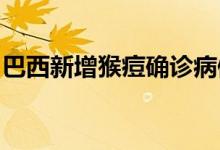 巴西新增猴痘确诊病例36例累计确诊达142例