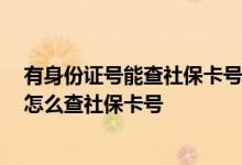 有身份证号能查社保卡号吗 身份证号可以查社保吗 身份证怎么查社保卡号