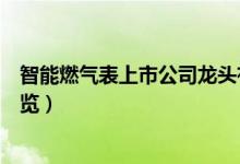智能燃气表上市公司龙头有哪些（智能燃气表概念股名单一览）