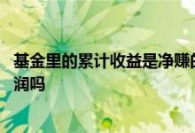 基金里的累计收益是净赚的吗 基金的累计收益就是真正的利润吗