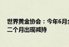 世界黄金协会：今年6月全球黄金ETF遭减持28吨为连续第二个月出现减持