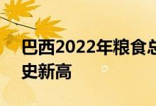 巴西2022年粮食总产量将达2.614亿吨创历史新高