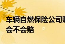 车辆自燃保险公司赔不赔，车辆自燃保险公司会不会赔