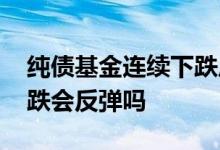 纯债基金连续下跌后期如何 纯债基金大幅下跌会反弹吗