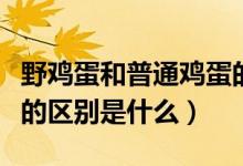 野鸡蛋和普通鸡蛋的区别（野鸡蛋和普通鸡蛋的区别是什么）