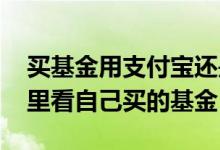 买基金用支付宝还是天天基金 天天基金在哪里看自己买的基金