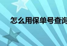 怎么用保单号查询保单 怎么用保单贷款