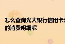 怎么查询光大银行信用卡消费明细 如何查询光大银行信用卡的消费明细呢