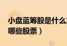小盘蓝筹股是什么意思（2020小盘蓝筹股有哪些股票）