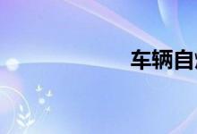 车辆自燃保险赔吗