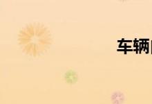 车辆自燃保险