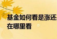 基金如何看是涨还是跌 基金看当天涨还是跌在哪里看