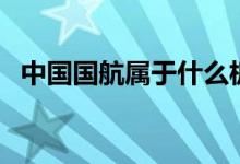 中国国航属于什么板块的股票（什么概念）