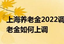 上海养老金2022调整方案持续中 今年退休养老金如何上调 