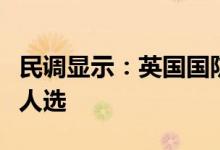 民调显示：英国国防大臣华莱士为新首相热门人选