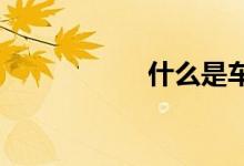 什么是车船税滞纳金