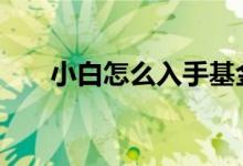 小白怎么入手基金 小白要怎么买基金