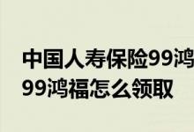 中国人寿保险99鸿福终身保险领取 中国人寿99鸿福怎么领取