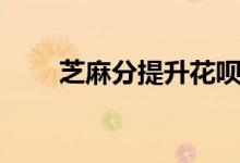芝麻分提升花呗额度（芝麻分借贷）
