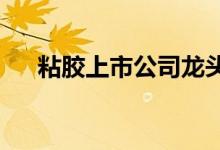 粘胶上市公司龙头粘胶上市公司有哪些