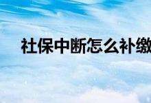 社保中断怎么补缴 补缴社保需要多少钱 