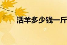 活羊多少钱一斤（活羊多少钱一斤）