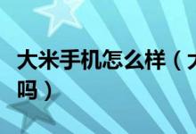 大米手机怎么样（大米手机是山寨版小米手机吗）