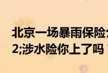 北京一场暴雨保险公司损失近亿元&#32;涉水险你上了吗？