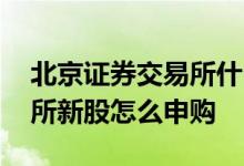 北京证券交易所什么时候申购 北京证券交易所新股怎么申购