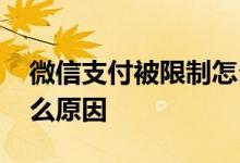 微信支付被限制怎么解封 微信支付限制是什么原因