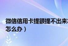 微信信用卡提额提不出来怎么办（微信申请信用卡提额被拒怎么办）