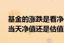基金的涨跌是看净值还是估值 基金涨跌是看当天净值还是估值