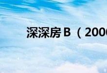 深深房Ｂ（200029）董事长叫什么