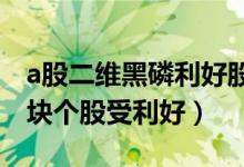 a股二维黑磷利好股有哪些（哪些二维黑磷板块个股受利好）