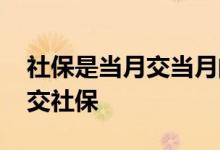 社保是当月交当月的还是交上月的 公司怎么交社保 
