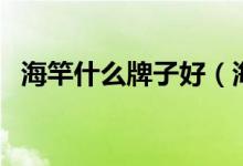 海竿什么牌子好（海竿一套最便宜多少钱）