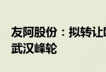 友阿股份：拟转让欧派亿奢汇24.75%股权予武汉峰轮
