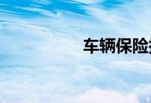 车辆保险损失补偿责任