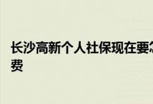 长沙高新个人社保现在要怎么办理 长沙高新个人社保如何缴费 