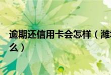 逾期还信用卡会怎样（潍坊银行信用卡逾期还款的后果是什么）
