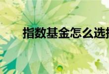 指数基金怎么选择买 指数基金怎么选