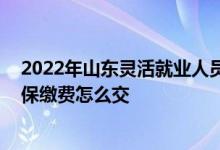 2022年山东灵活就业人员社保缴费档次表 灵活就业人员社保缴费怎么交 