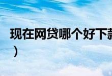 现在网贷哪个好下款（网贷哪个比较好下款的）