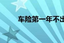 车险第一年不出险次年优惠有多少