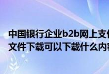 中国银行企业b2b网上支付 中国银行：“B2B商户服务”中文件下载可以下载什么内容