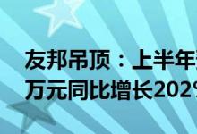 友邦吊顶：上半年预计盈利7900万元-8600万元同比增长202%-229%