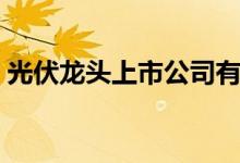 光伏龙头上市公司有哪些（光伏概念股名单）