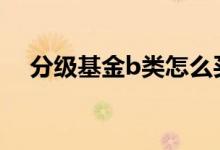 分级基金b类怎么买 分级基金b如何购买