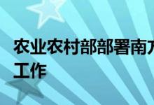 农业农村部部署南方稻区“双抢”农机化生产工作